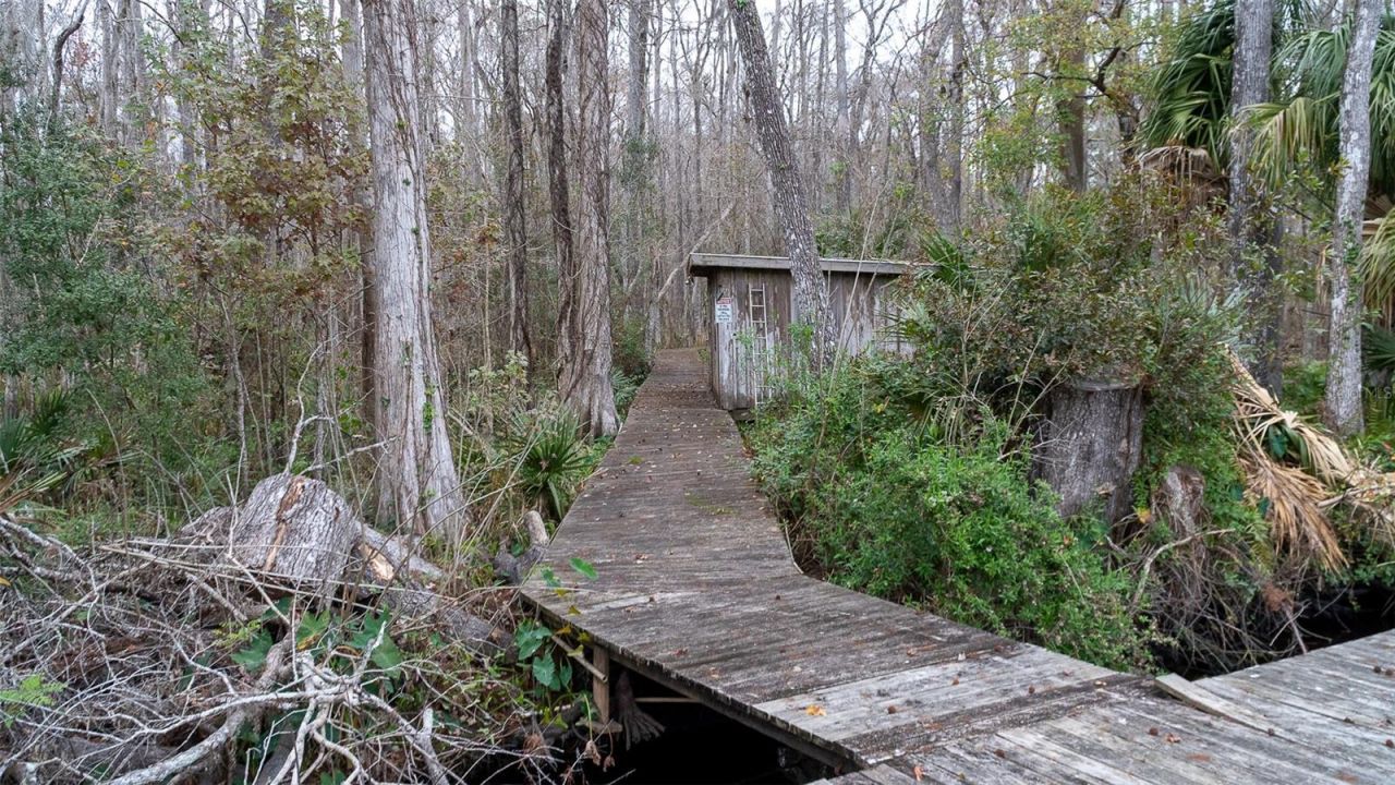 155 Fran Lane, Satsuma, FL 32189 Photo