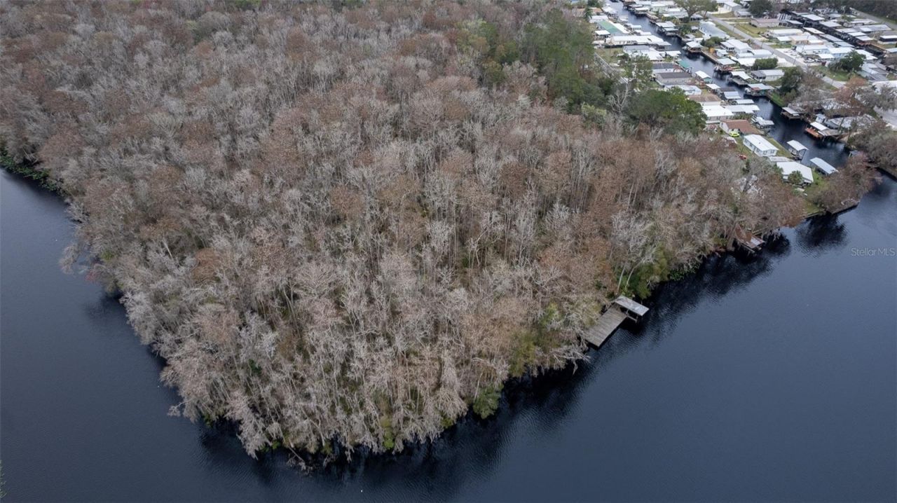 155 Fran Lane, Satsuma, FL 32189 Photo