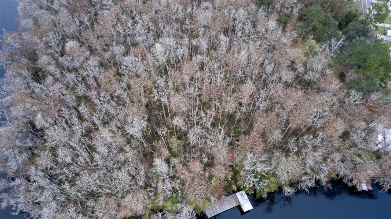 155 Fran Lane, Satsuma, FL 32189 Photo