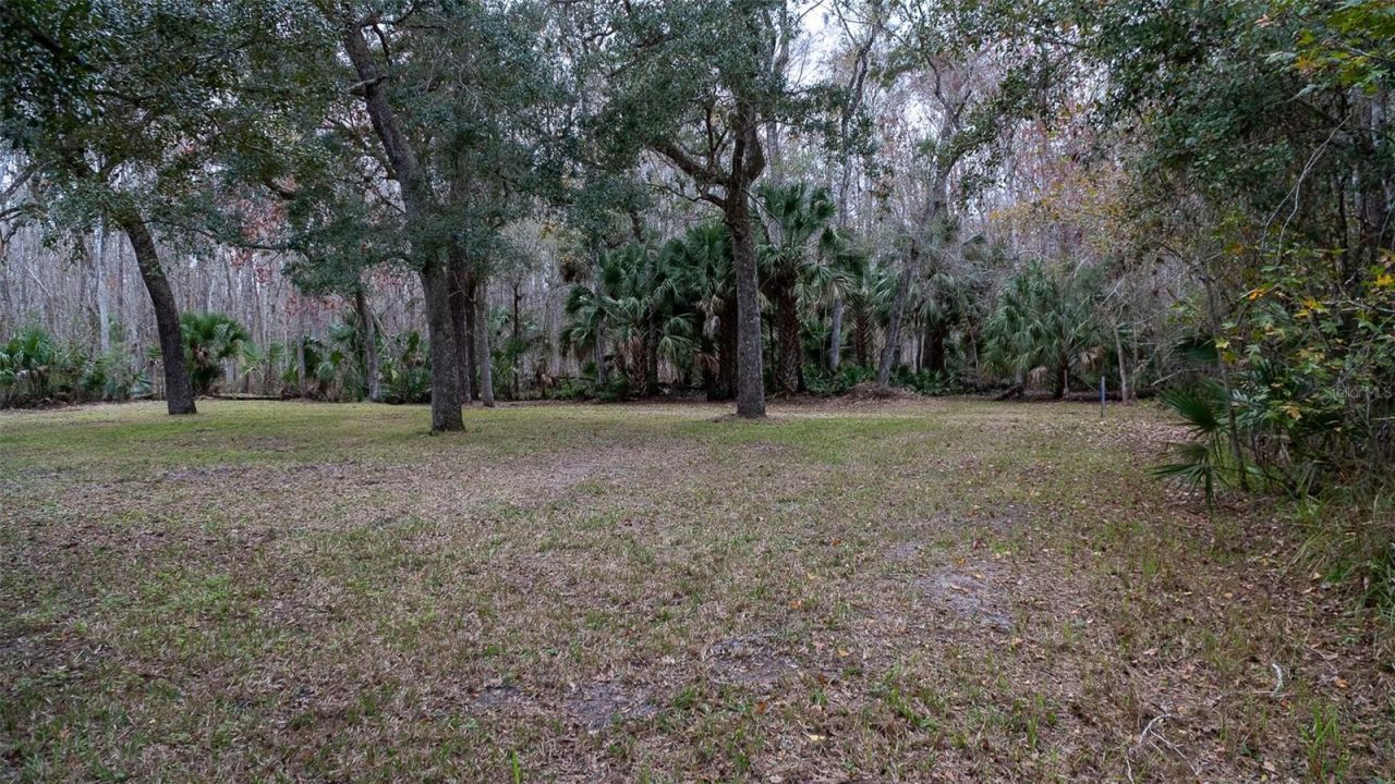 155 Fran Lane, Satsuma, FL 32189 Photo