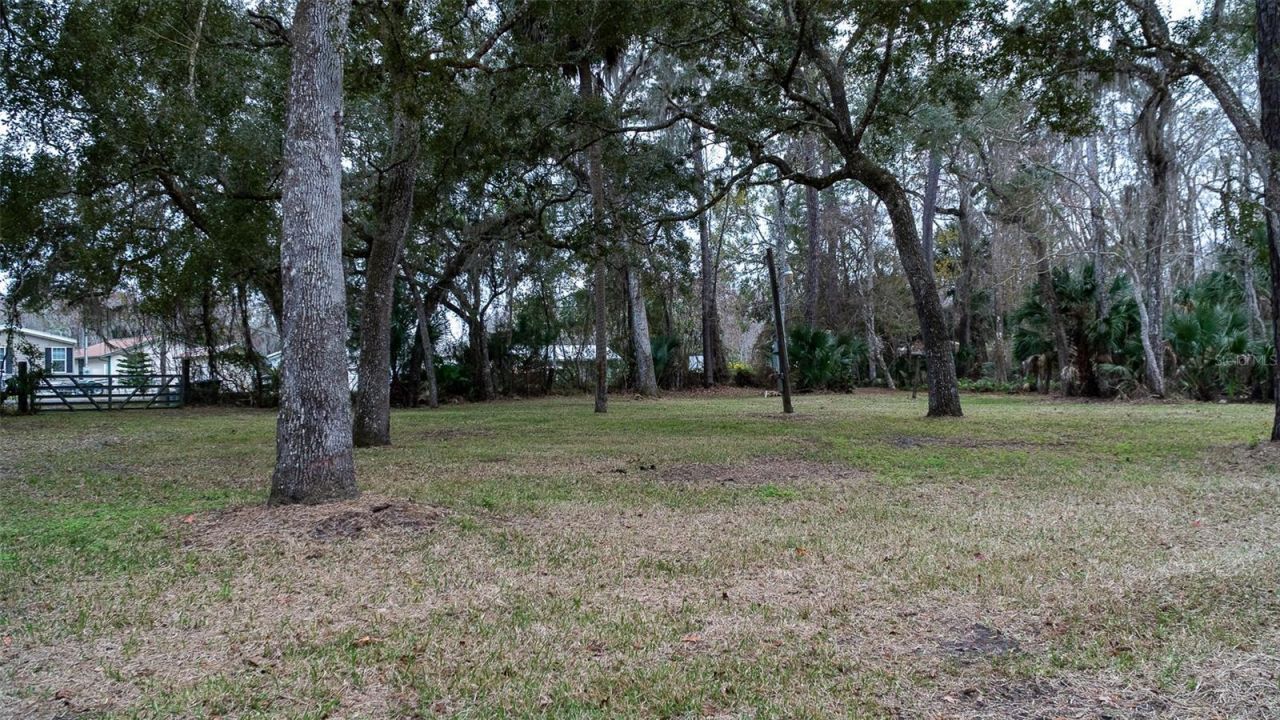 155 Fran Lane, Satsuma, FL 32189 Photo
