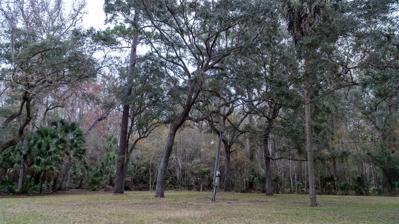 155 Fran Lane, Satsuma, FL 32189 Photo
