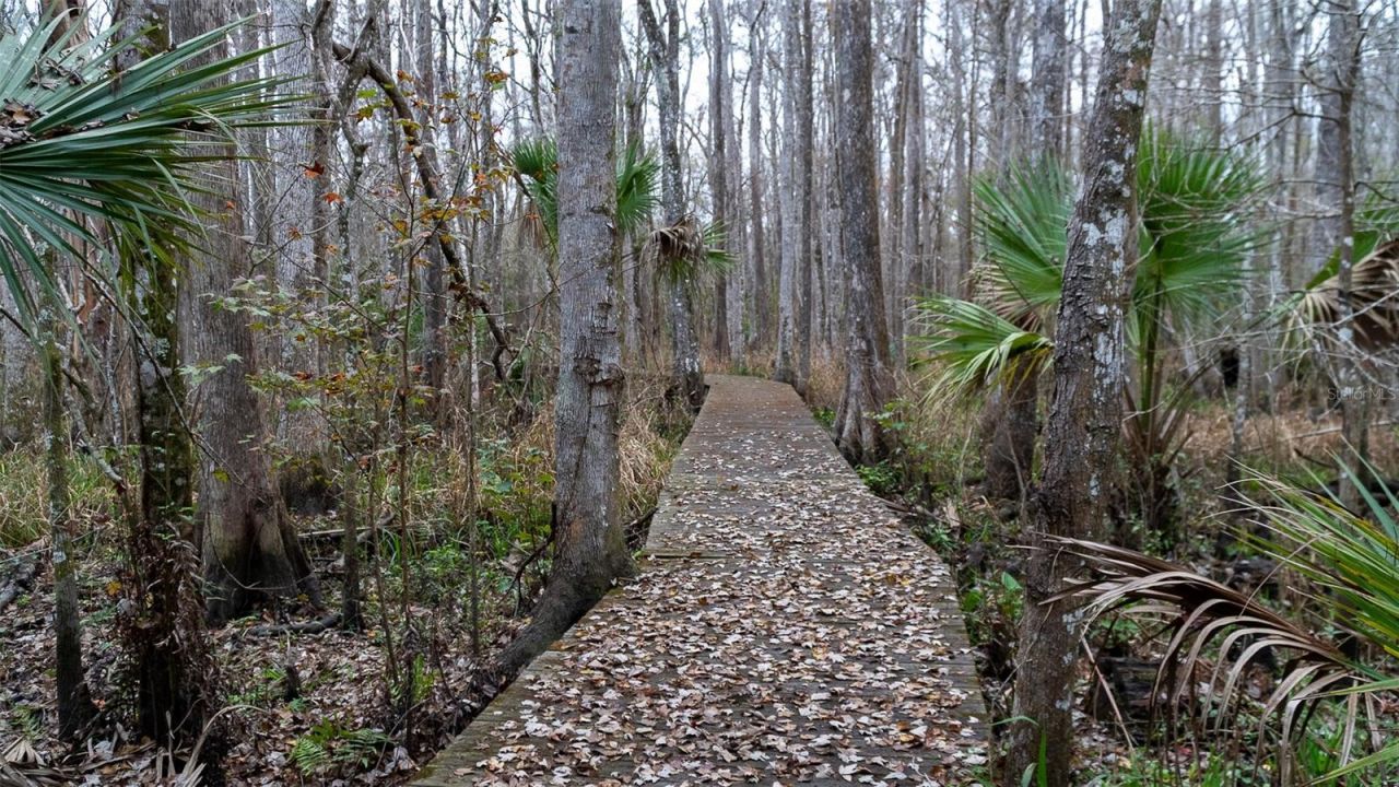 155 Fran Lane, Satsuma, FL 32189 Photo