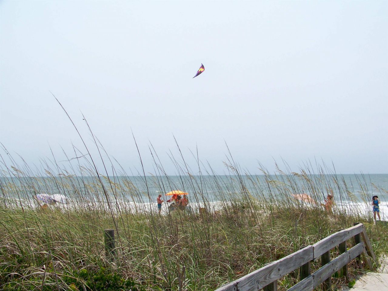 3676 Spruce Dr. Photo 39