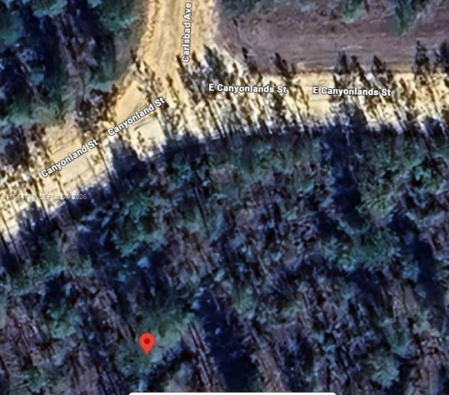 Canyonland Street East Canyonlands St, Alford, FL 32420 Photo