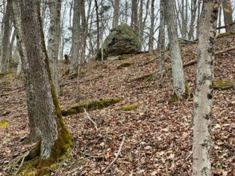 635 2 Mile Run, Cutler, OH 45724 Photo 61