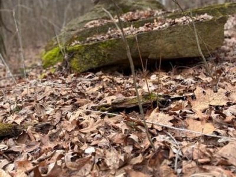 635 2 Mile Run, Cutler, OH 45724 Photo 66