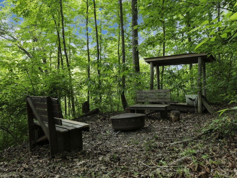 635 2 Mile Run, Cutler, OH 45724 Photo 75