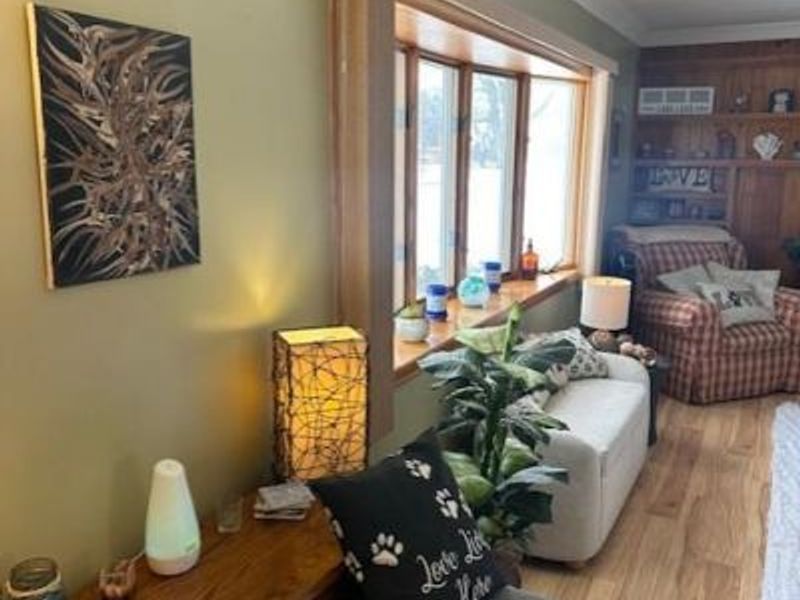 157 E Ottawa Street, Oak Harbor, OH 43449 Photo 3