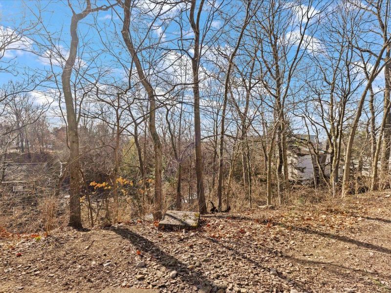 45 E California Avenue, Columbus, OH 43202 Photo 58