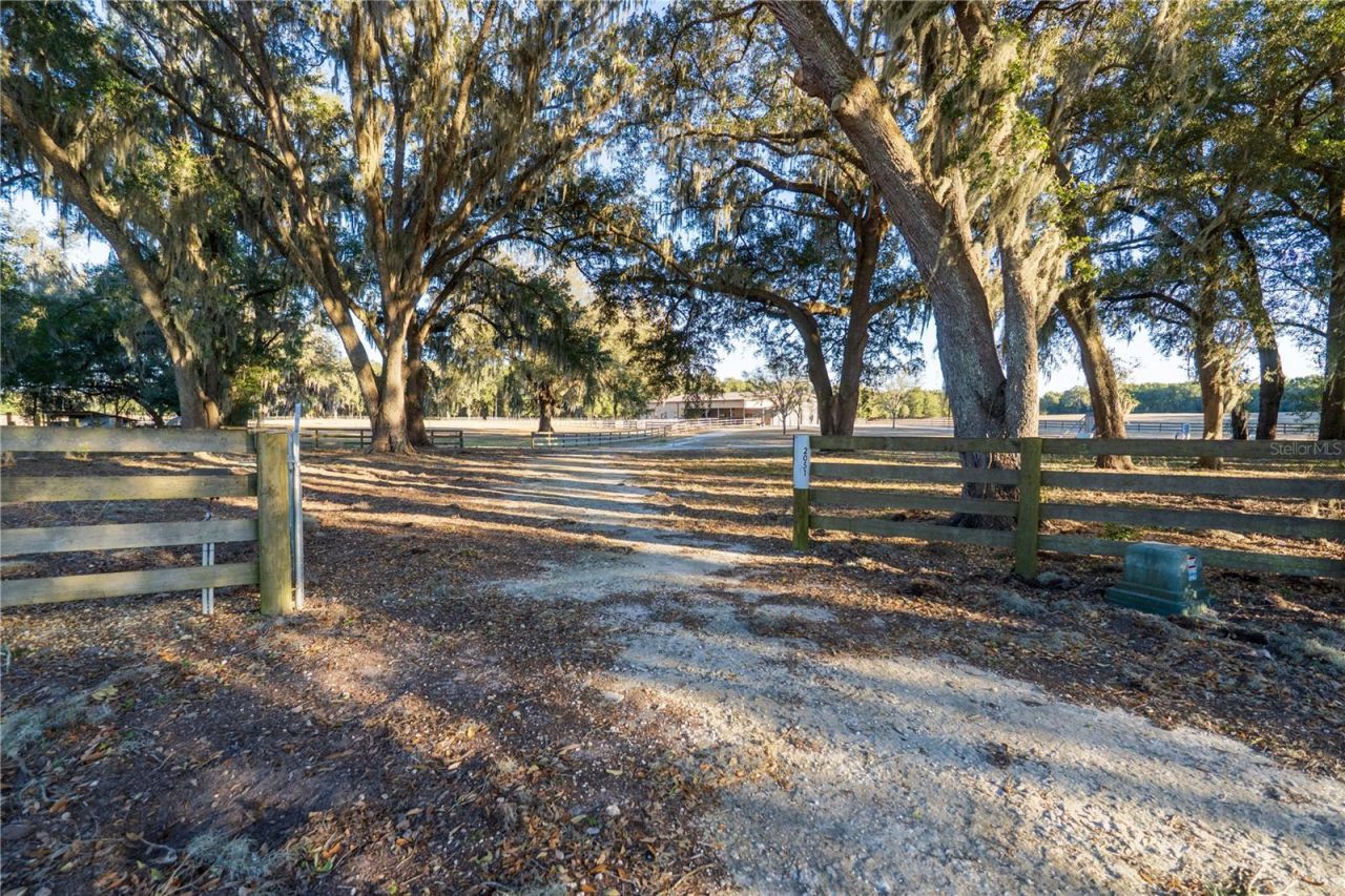 2051 SE 155th St, Summerfield, FL 34491 Photo