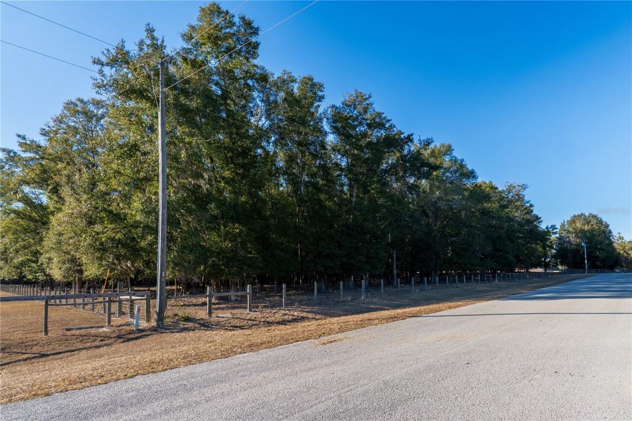 2051 SE 155th St, Summerfield, FL 34491 Photo