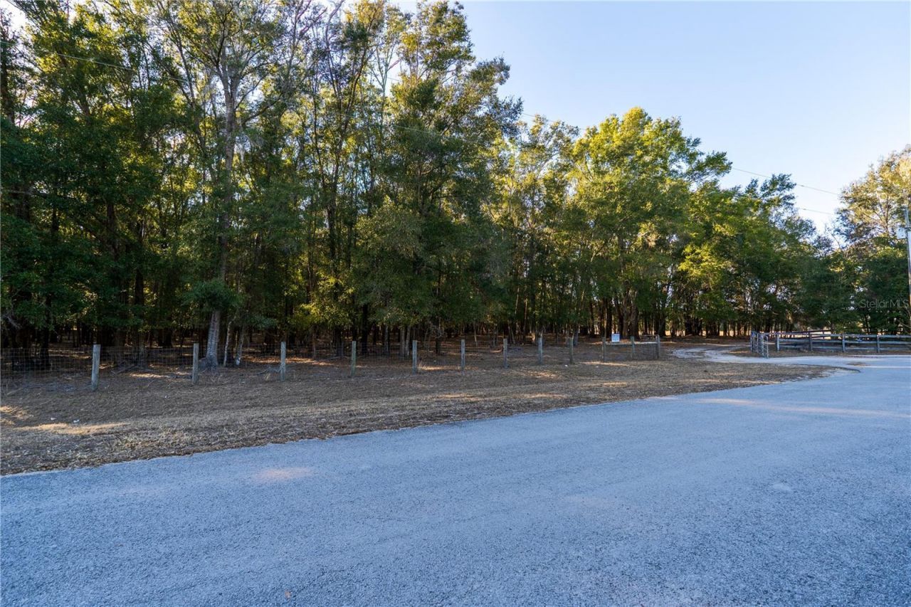 2051 SE 155th St, Summerfield, FL 34491 Photo