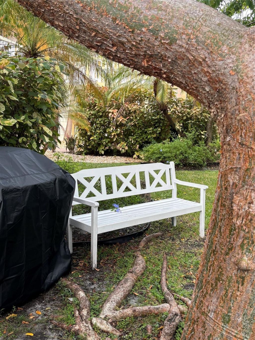 811 NE 14th Place, Unit 6, Fort Lauderdale, FL 33304 Photo