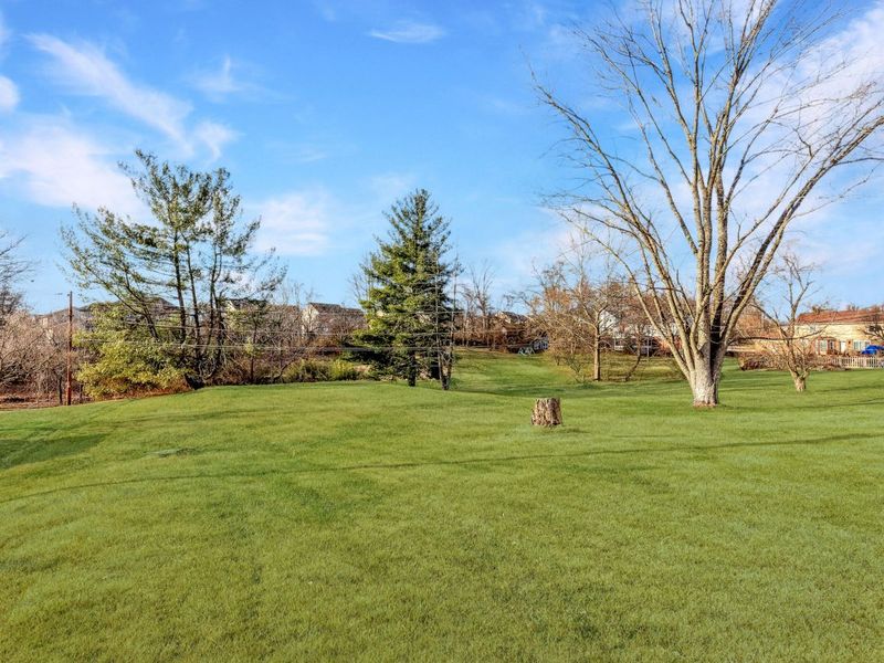 203 Buckingham Drive, Florence, KY 41042 Photo 42