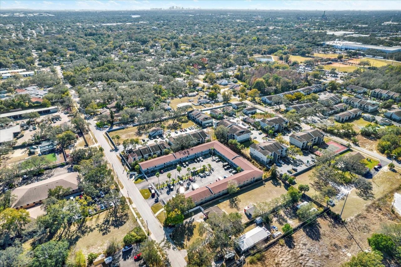 11404 N 52nd Street, Tampa, FL 33617 Photo