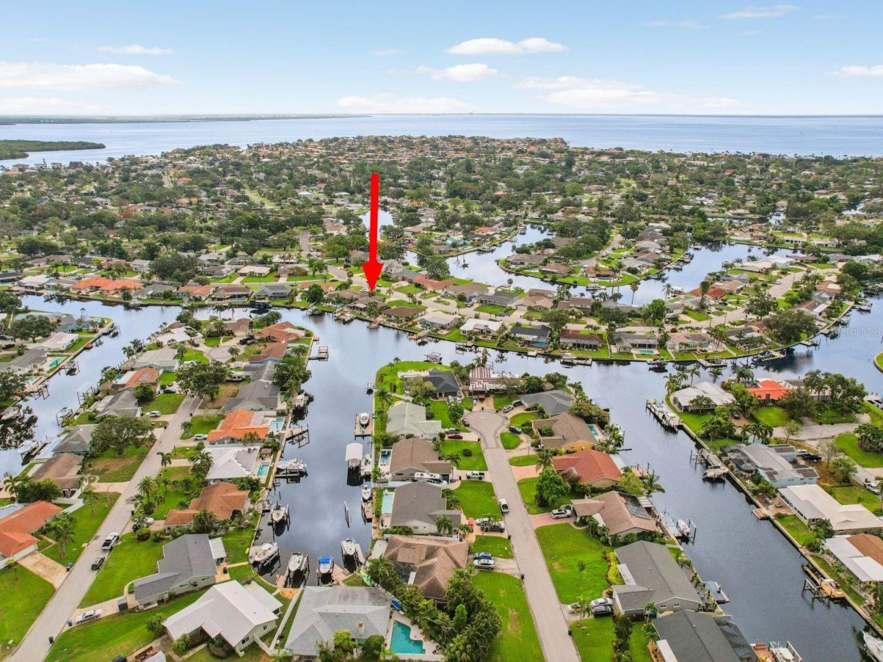 5036 Dover Street Ne, Saint Petersburg, FL 33703 Photo