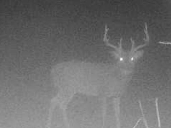 00 County Road 1825E, Greenup, IL 62428