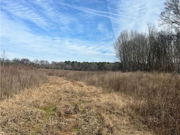 2199 Taylor Road, Moundville, AL 35474