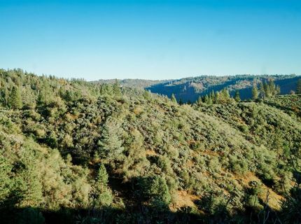 9220 Mule Skinner Rd, Placerville, CA 95667 Photo
