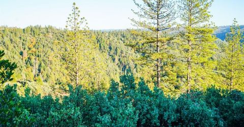 9220 Mule Skinner Rd, Placerville, CA 95667 Photo
