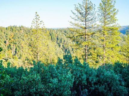 9220 Mule Skinner Rd, Placerville, CA 95667 Photo