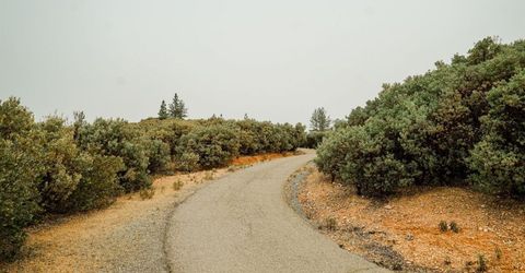 9220 Mule Skinner Rd, Placerville, CA 95667 Photo