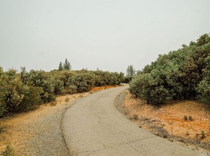 9220 Mule Skinner Rd, Placerville, CA 95667 Photo