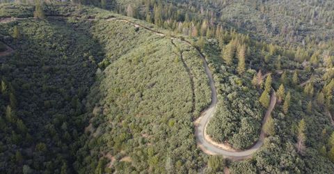 9220 Mule Skinner Rd, Placerville, CA 95667 Photo