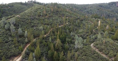 9220 Mule Skinner Rd, Placerville, CA 95667 Photo