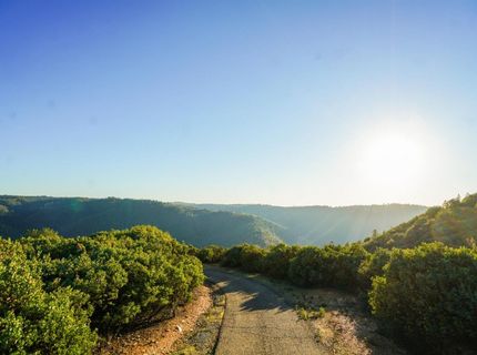 9220 Mule Skinner Rd, Placerville, CA 95667 Photo