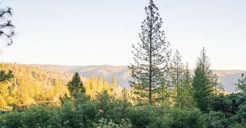 9220 Mule Skinner Rd, Placerville, CA 95667 Photo