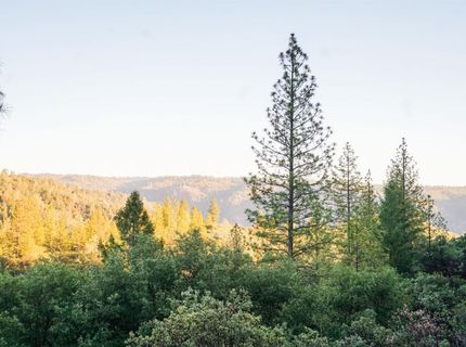 9220 Mule Skinner Rd, Placerville, CA 95667 Photo