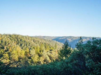 9220 Mule Skinner Rd, Placerville, CA 95667 Photo