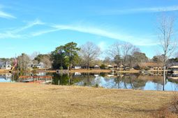 1193 Haynesworth Mill Circle photo 4