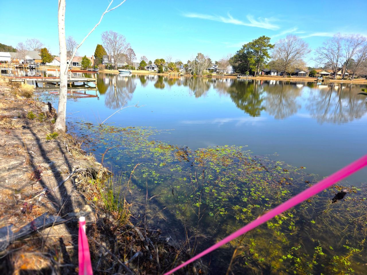 1193 Haynesworth Mill Circle Photo 5