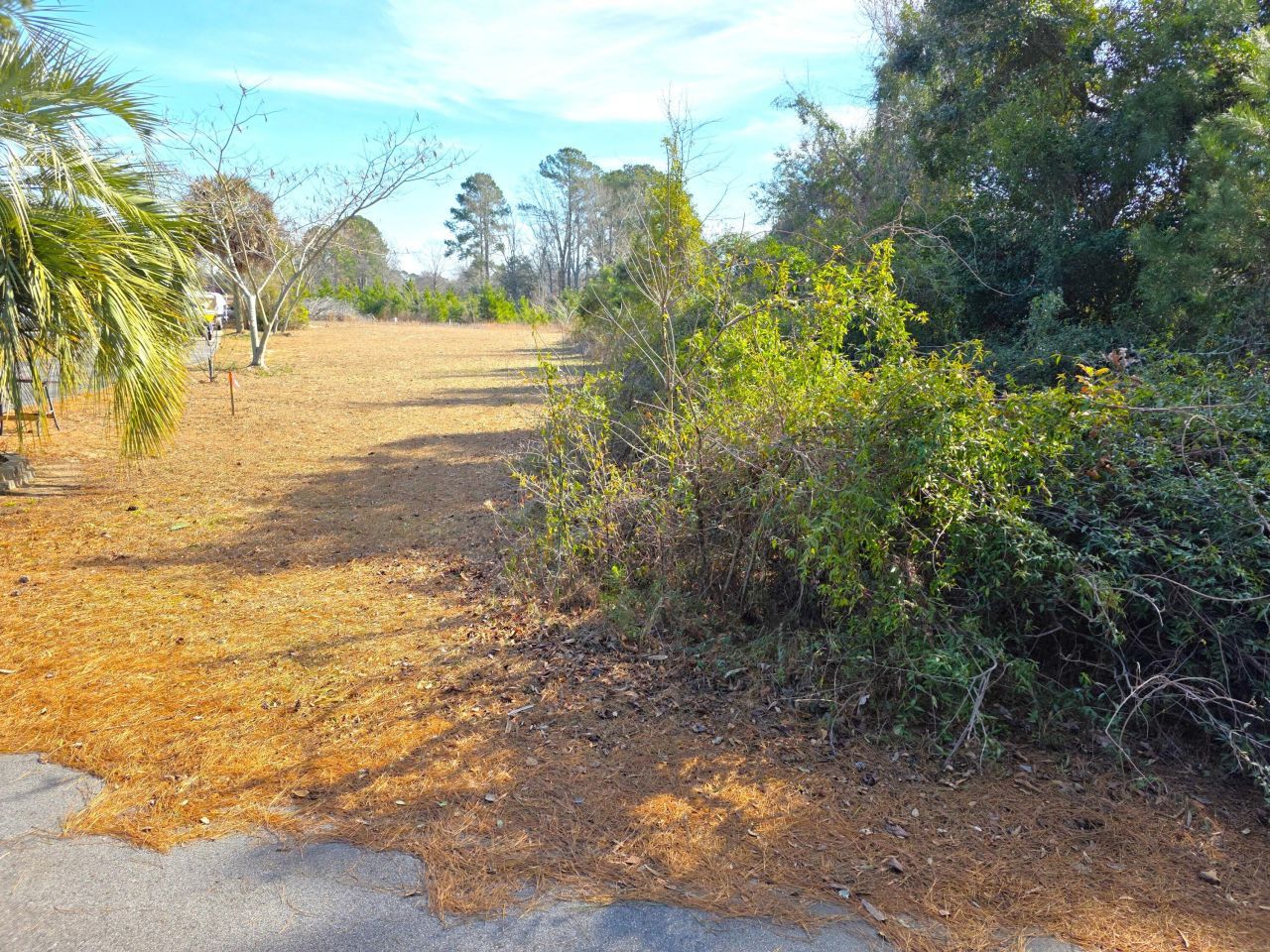 1193 Haynesworth Mill Circle Photo 6