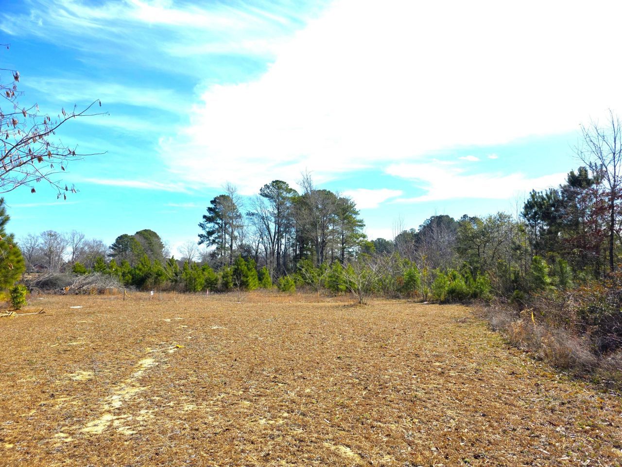 1193 Haynesworth Mill Circle Photo 7