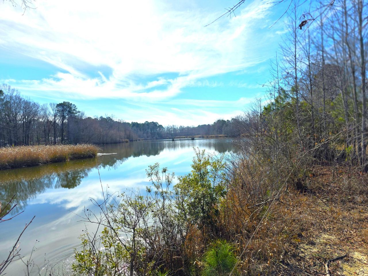 1193 Haynesworth Mill Circle Photo 9