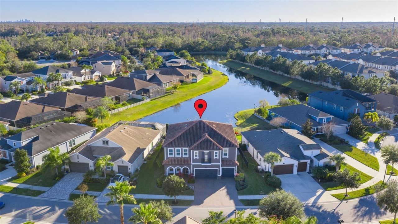 3708 Wicket Field Road, Lutz, FL 33548 Photo