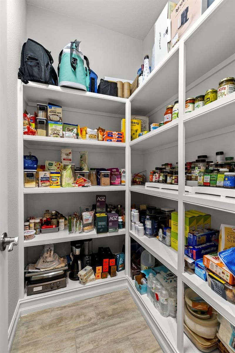 3708 Wicket Field Road, Lutz, FL 33548 Photo