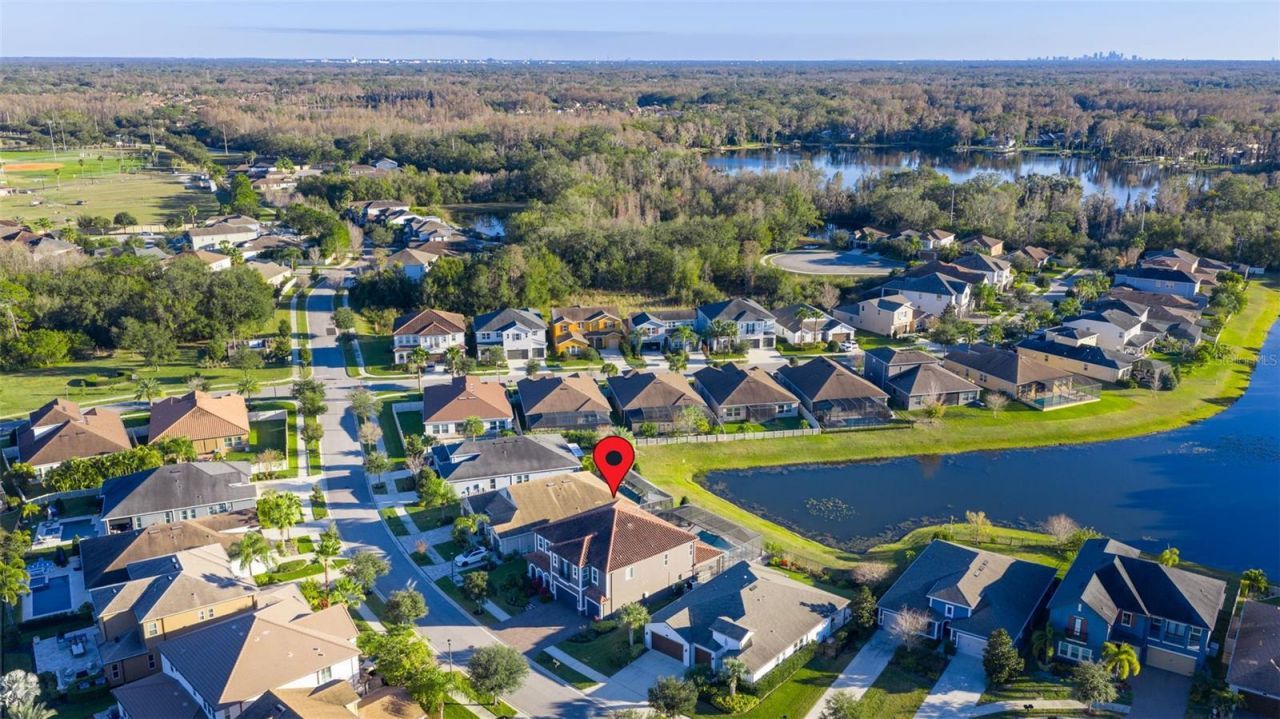 3708 Wicket Field Road, Lutz, FL 33548 Photo