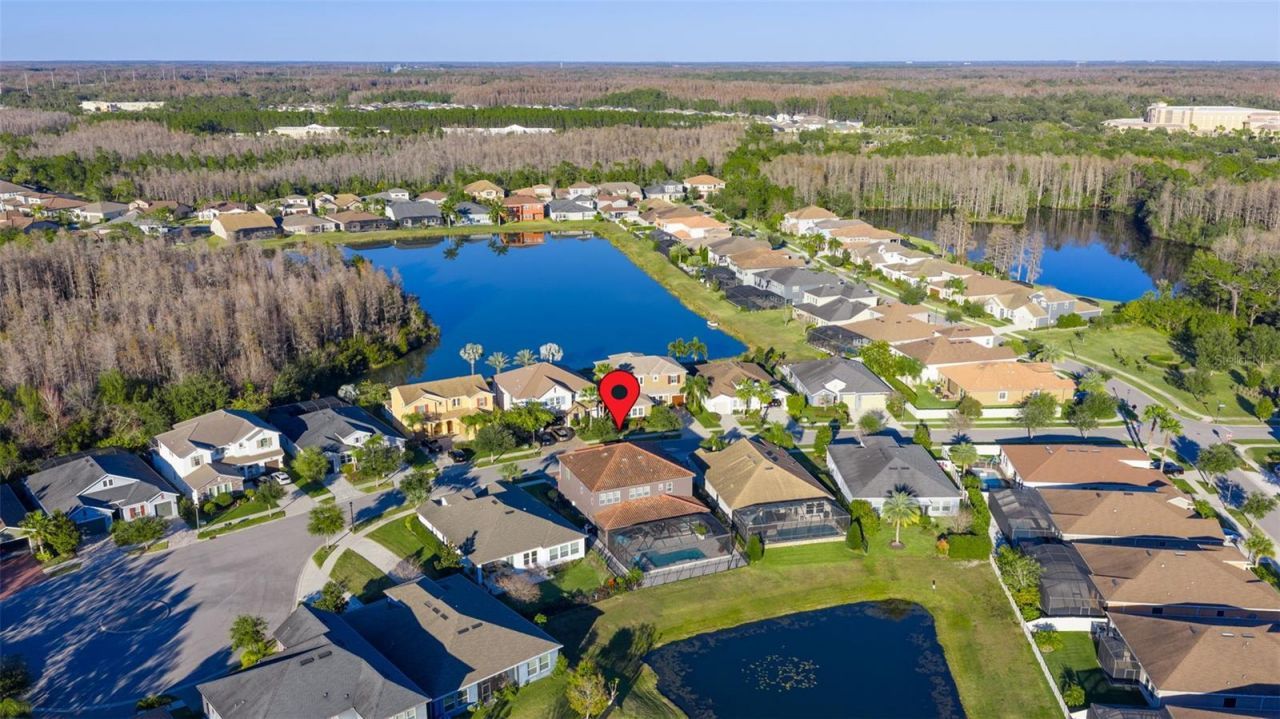 3708 Wicket Field Road, Lutz, FL 33548 Photo