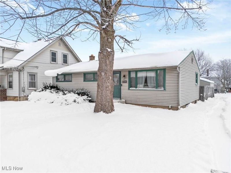 1208 Roslyn Avenue SW, Canton, OH 44710 Photo 24