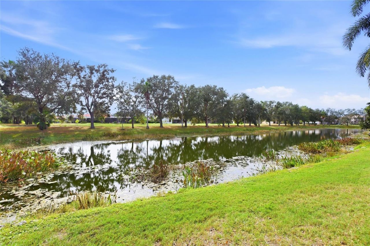 12806 7th Avenue Ne, Bradenton, FL 34212 Photo