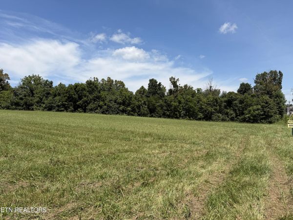 375 S White Pine Rd, White Pine, TN 37890