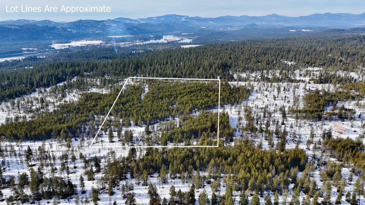 321 Misty Ridge Ln, Newport, WA 99156 Main Photo