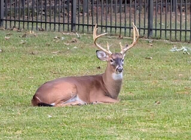 3582 Heathermoor Court Photo 40