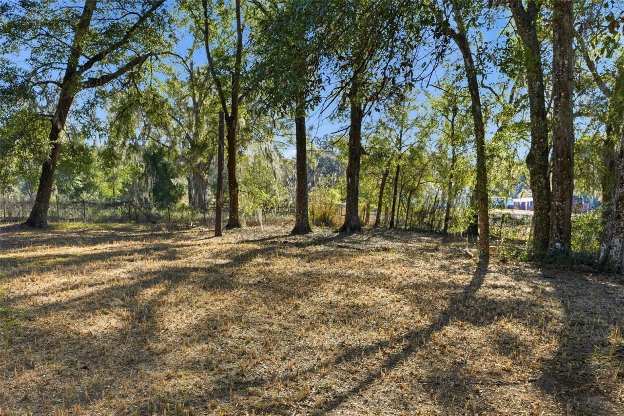 25256 Richbarn Road, Brooksville, FL 34601 Photo
