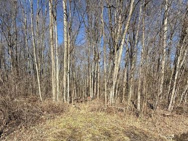Lindsey Road, China Twp, MI 48054